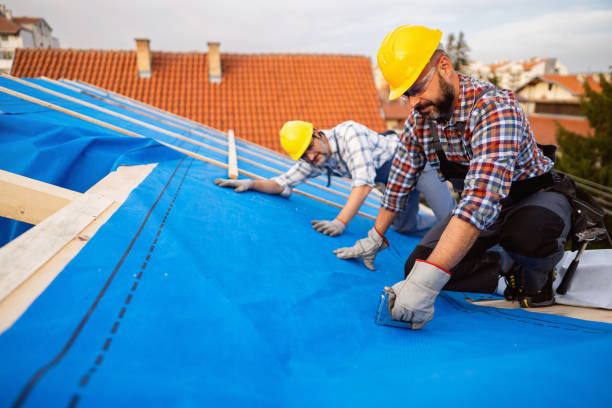 Best Gutter Installation and Roofing  in Goodman, MS